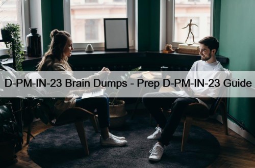 D-PM-IN-23 Brain Dumps - Prep D-PM-IN-23 Guide